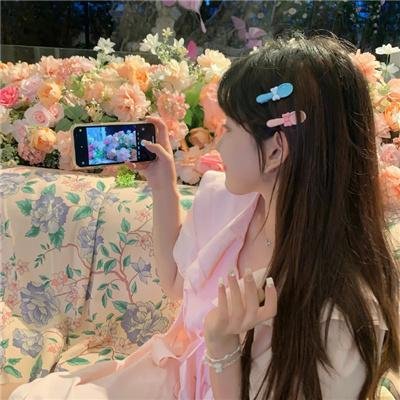 与鲨同游